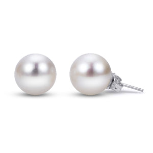 10mm Freshwater Pearl Studs